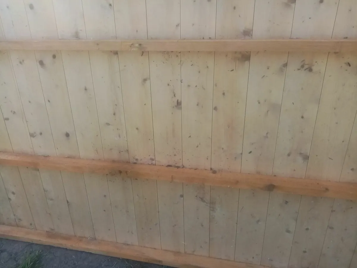 8ft x 6ft Garden Shed. - Image 2