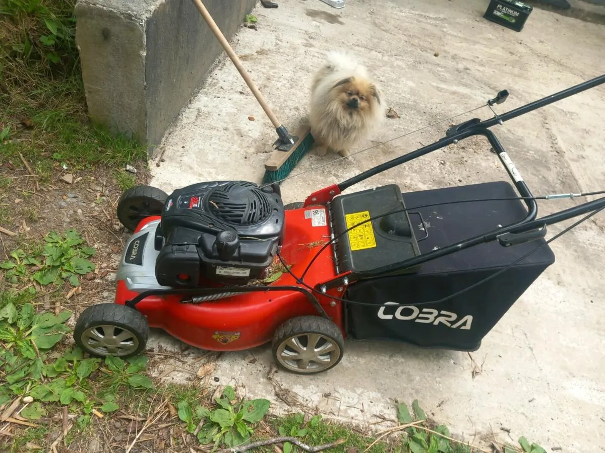 Lawnmower - Image 2