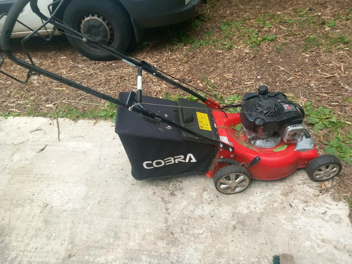 Lawnmower - Image 3