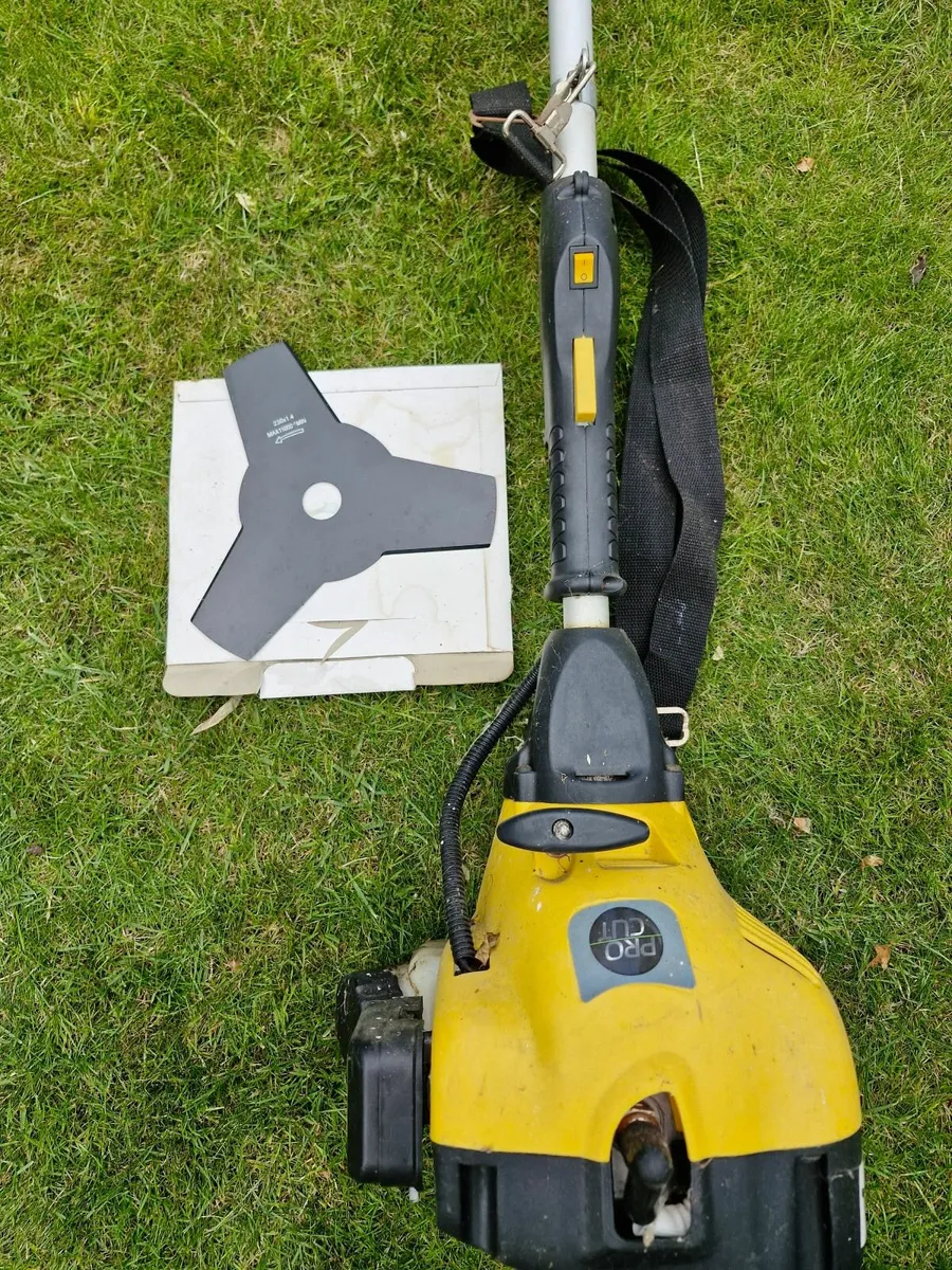 Petrol Strimmer - Image 1
