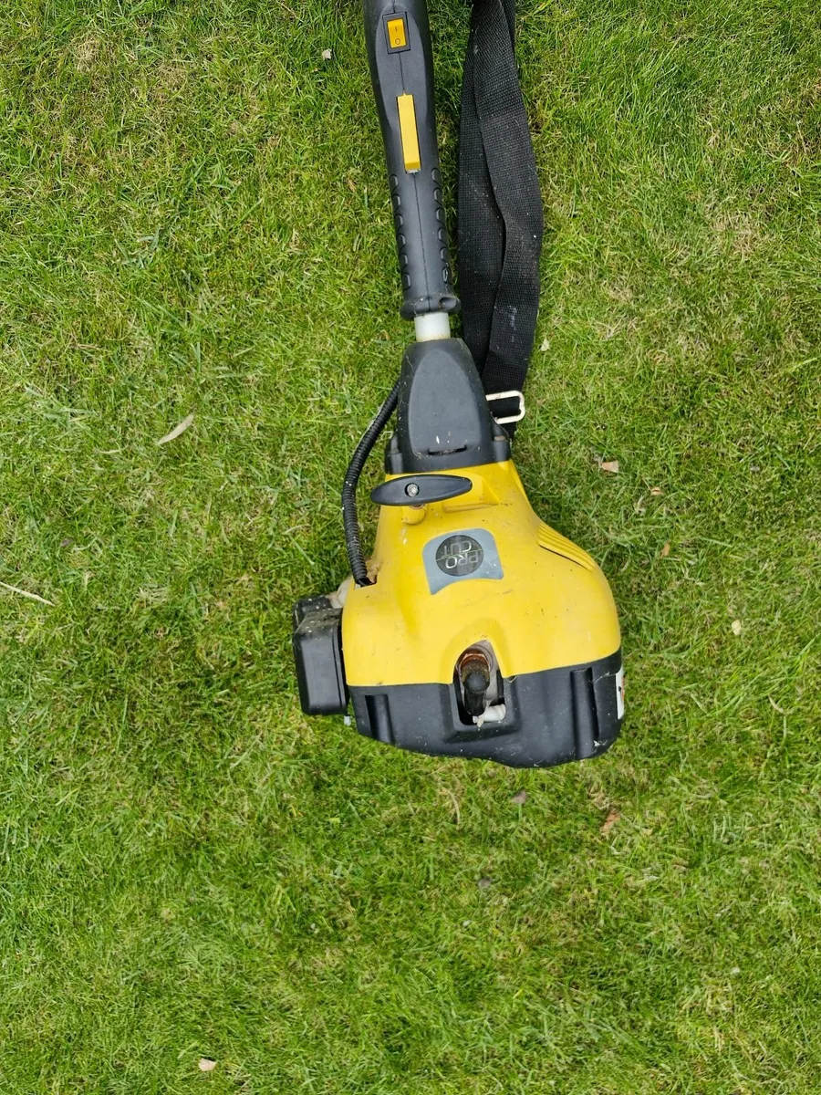 Petrol Strimmer - Image 2