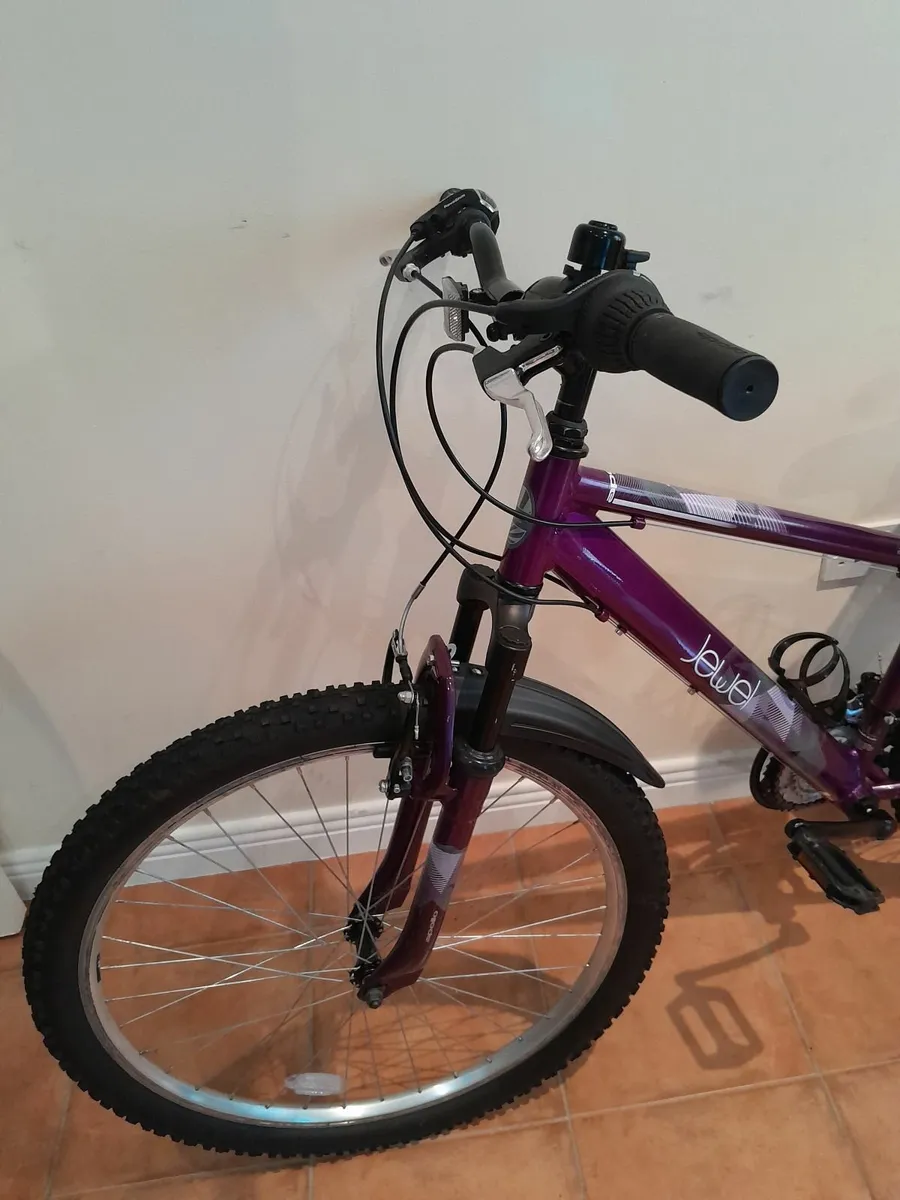 Bicycle - Image 2