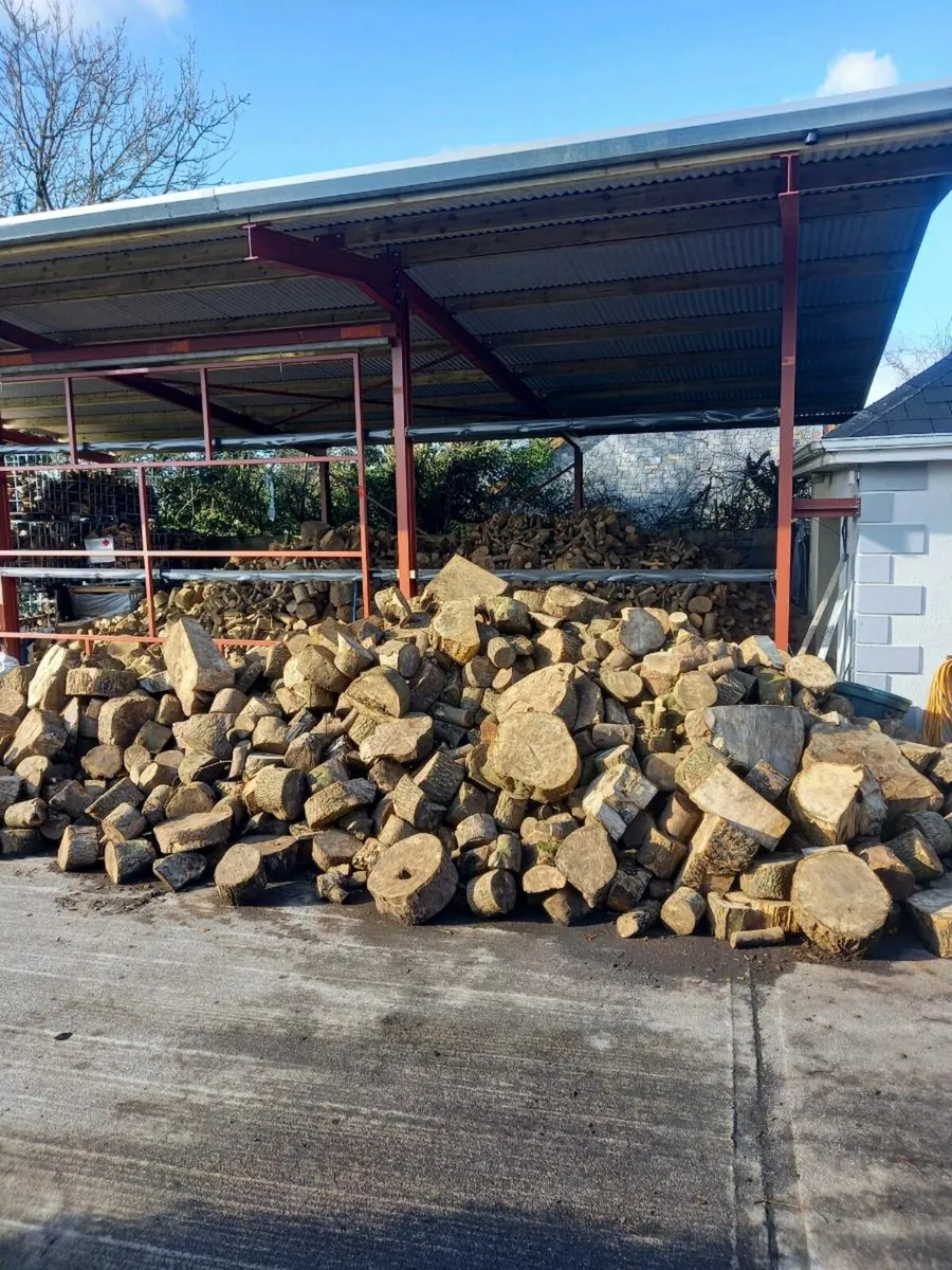 Firewood - Image 4