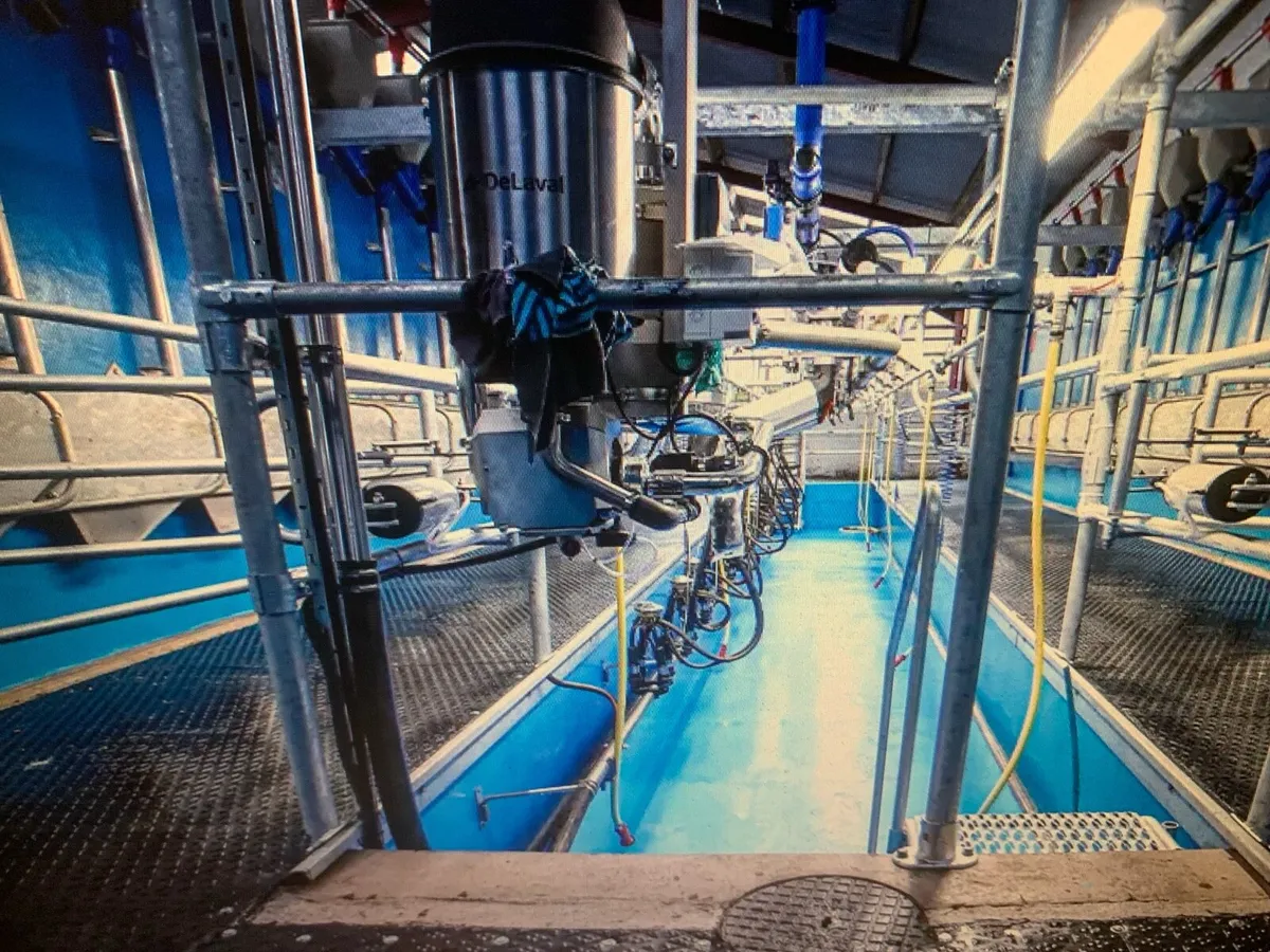 Crush Headgate. Dairy parlour mat. Slatted rubber - Image 4