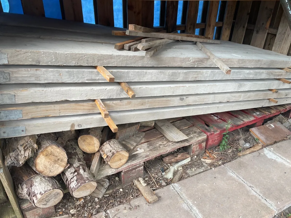 Scaffold - Image 2