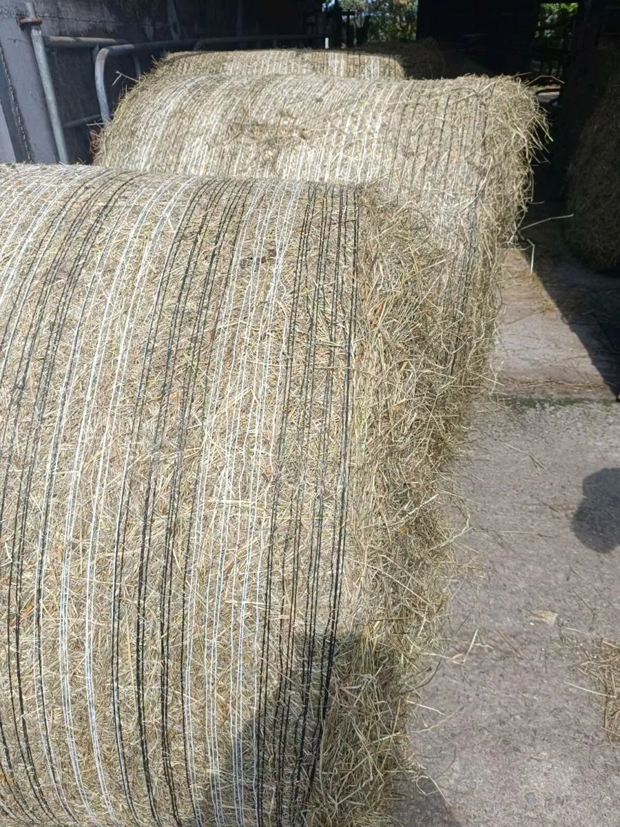 Round bales of Hay - South Kerry - Image 2