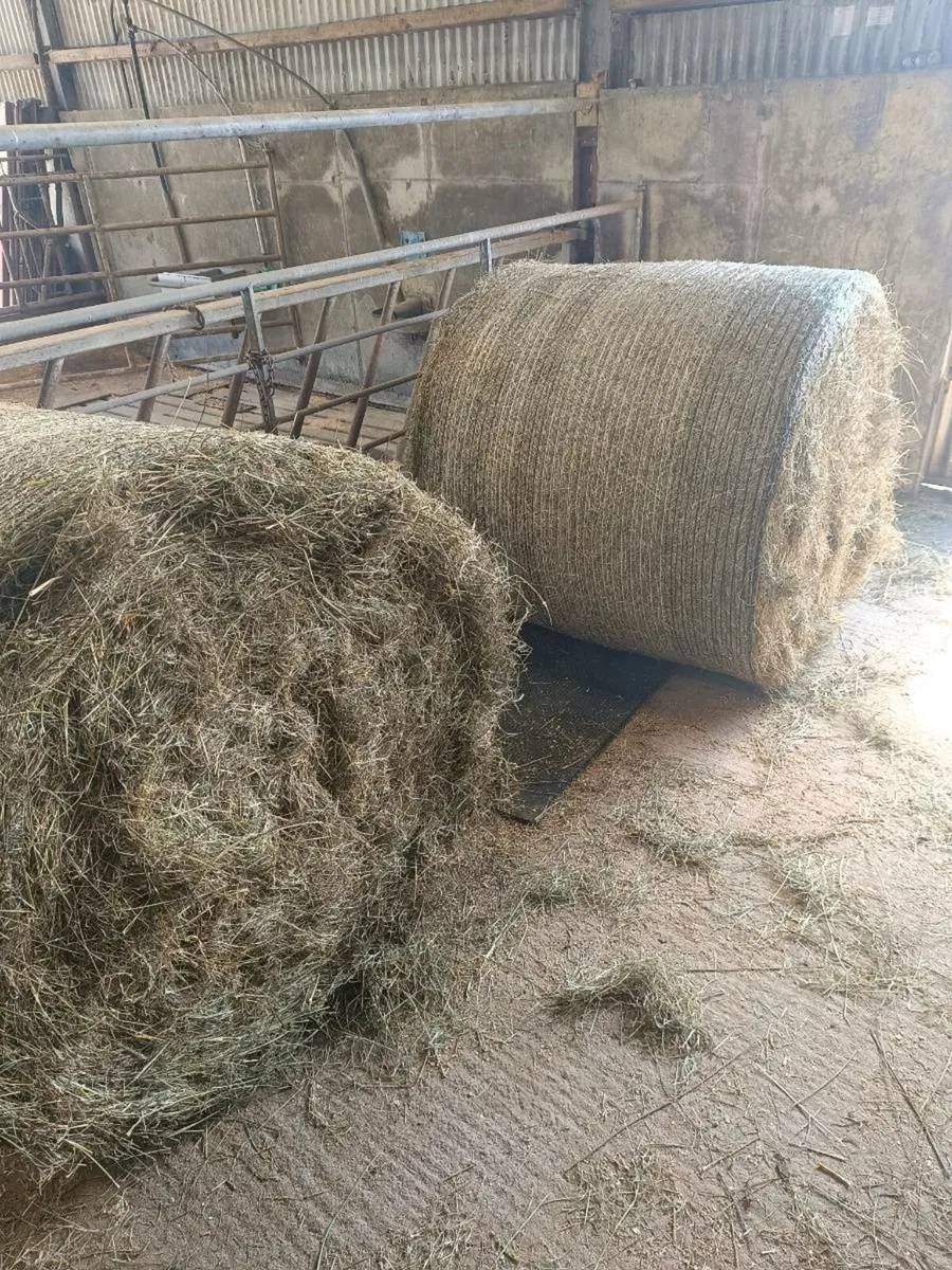 Round bales of Hay - South Kerry - Image 3