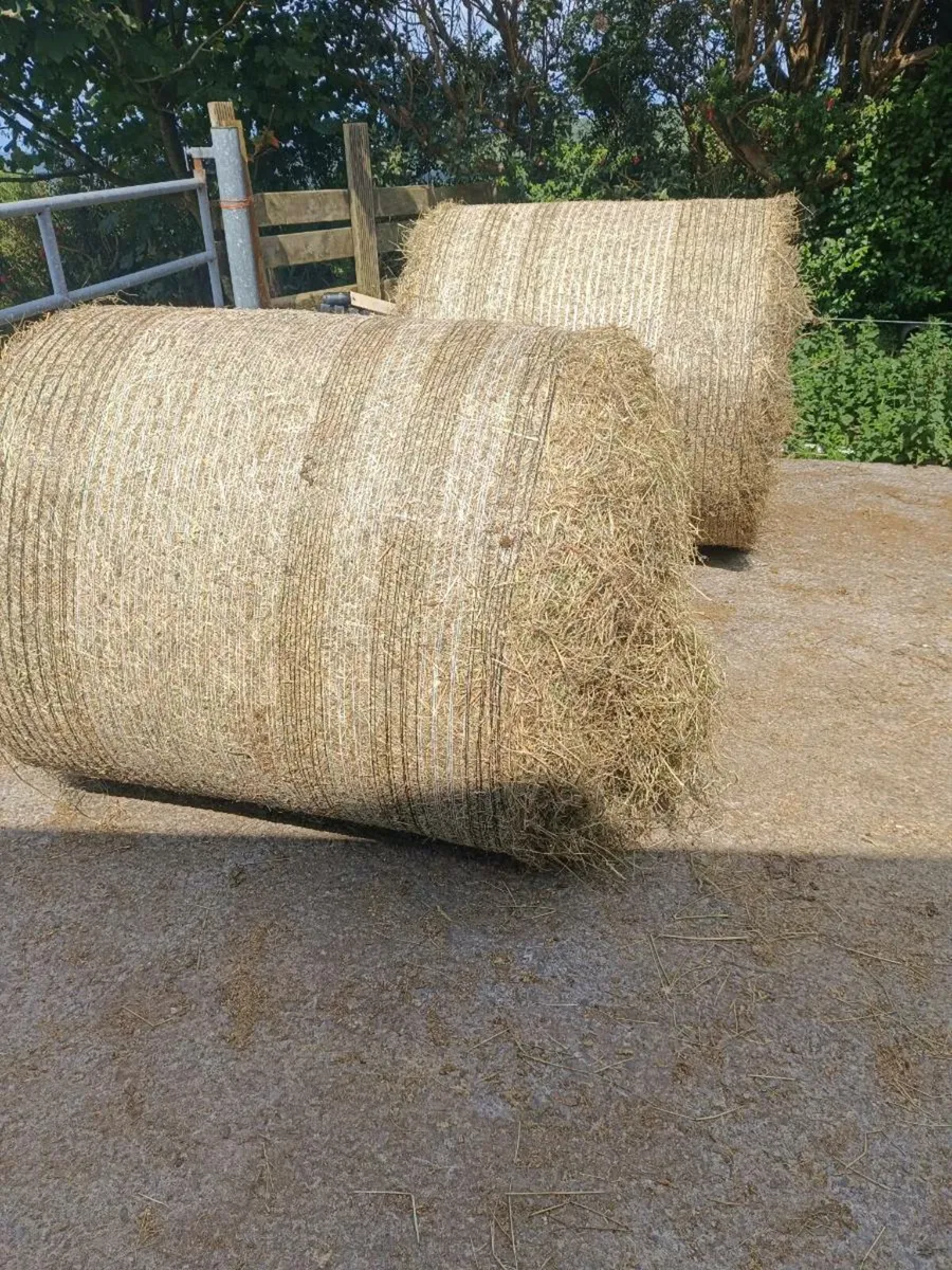 Round bales of Hay - South Kerry - Image 1