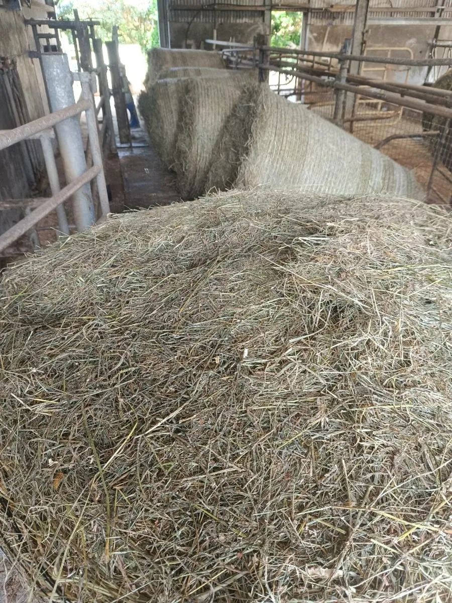 Round bales of Hay - South Kerry - Image 4