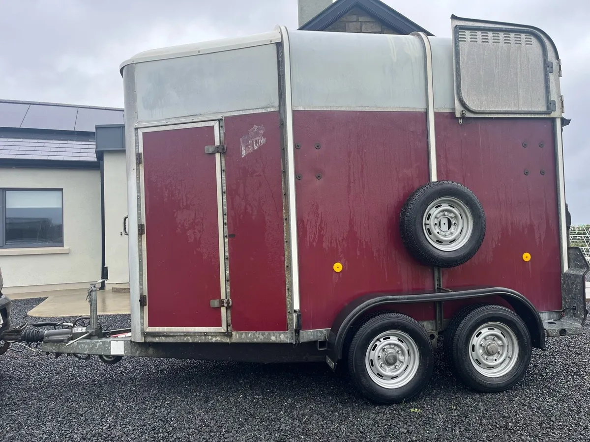 Ifor Williams 505 - Image 1