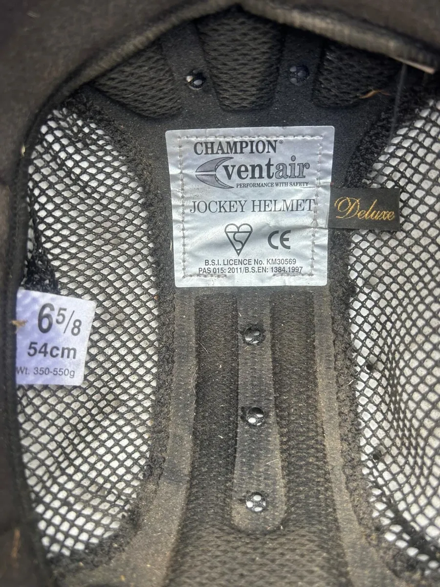 Champion horse riding helmet - Image 2