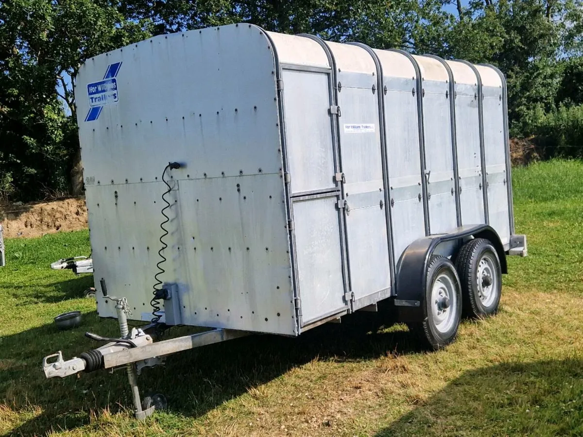 IforWilliams cattle trailer - Image 1