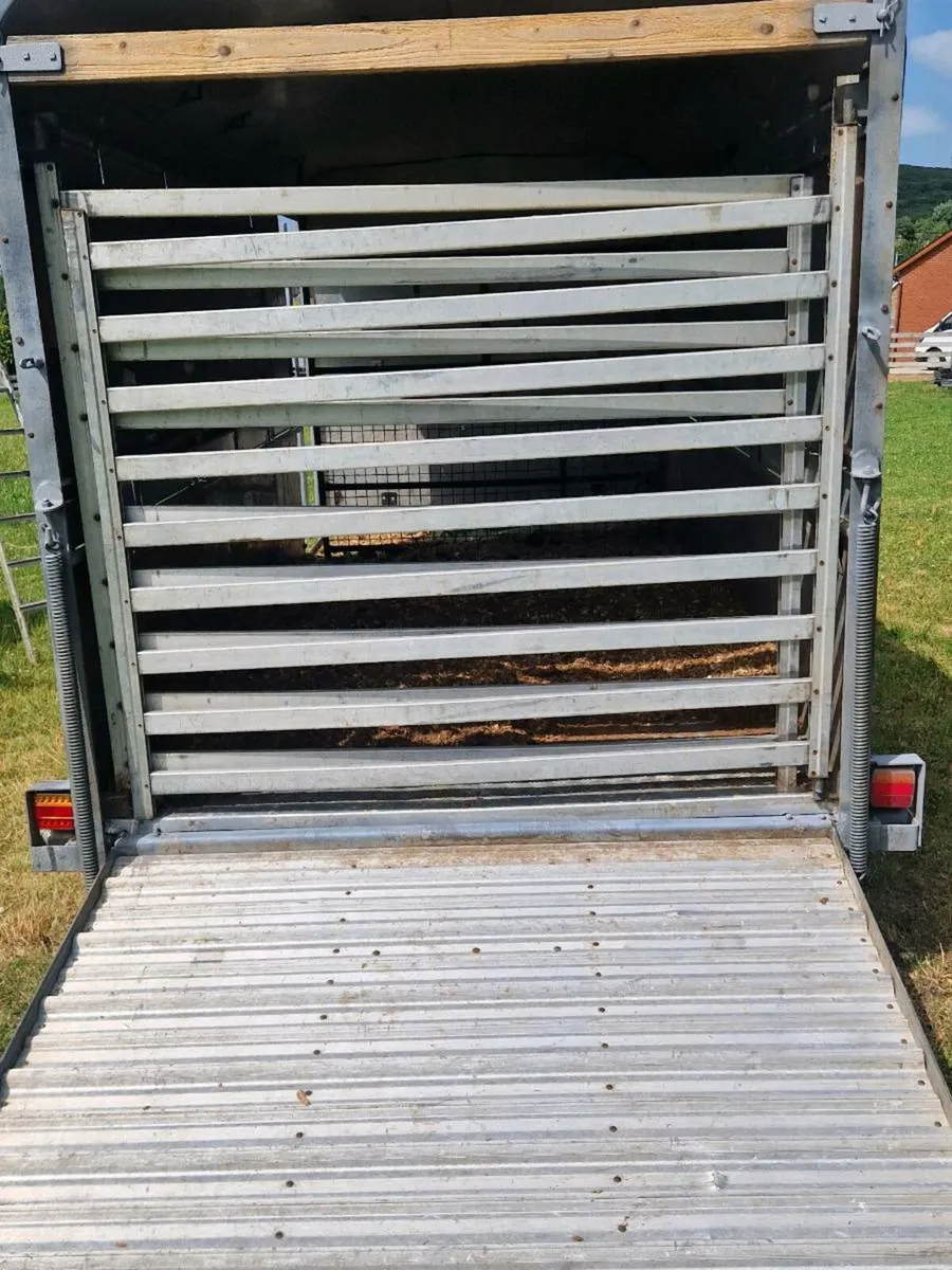 IforWilliams cattle trailer - Image 2