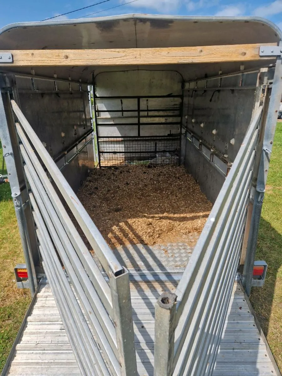 IforWilliams cattle trailer - Image 3