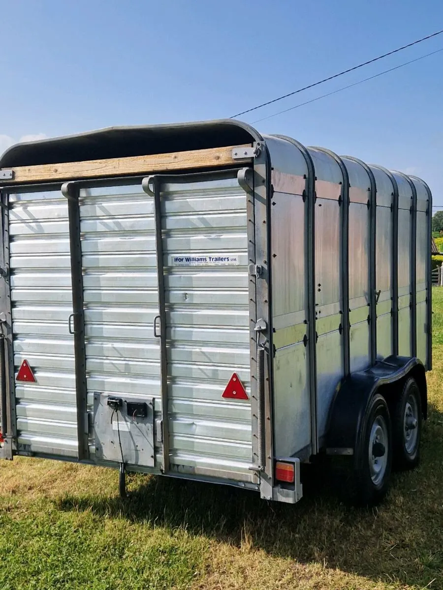 IforWilliams cattle trailer - Image 4