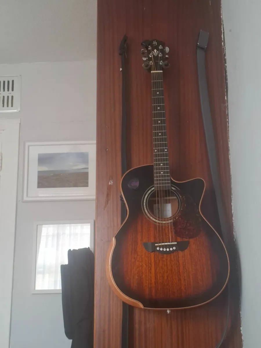 Acoustic / electric guitar