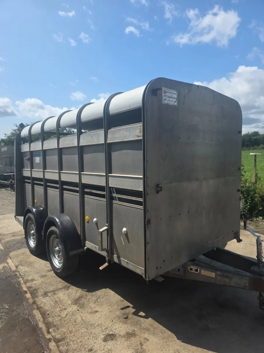 12ft ifor Williams livestock trailer - Image 1