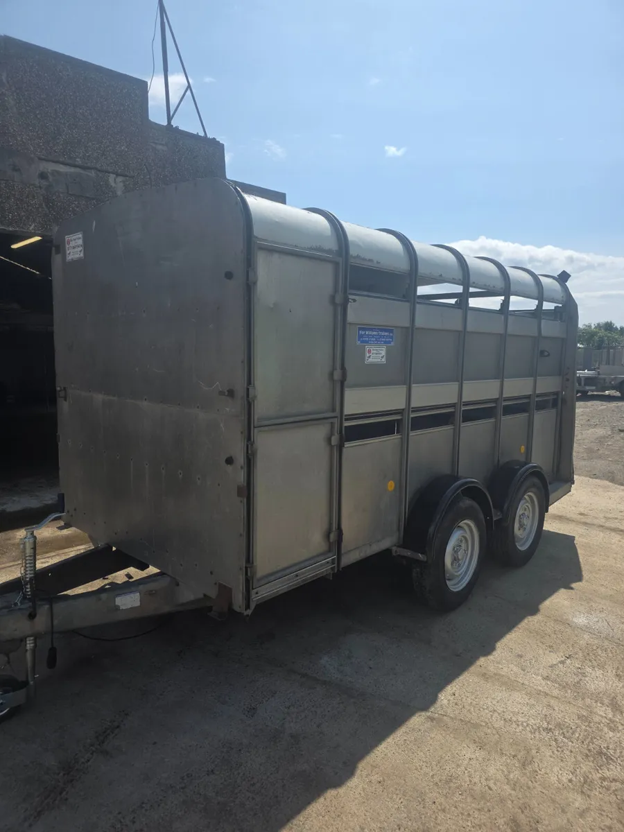 12ft ifor Williams livestock trailer - Image 2