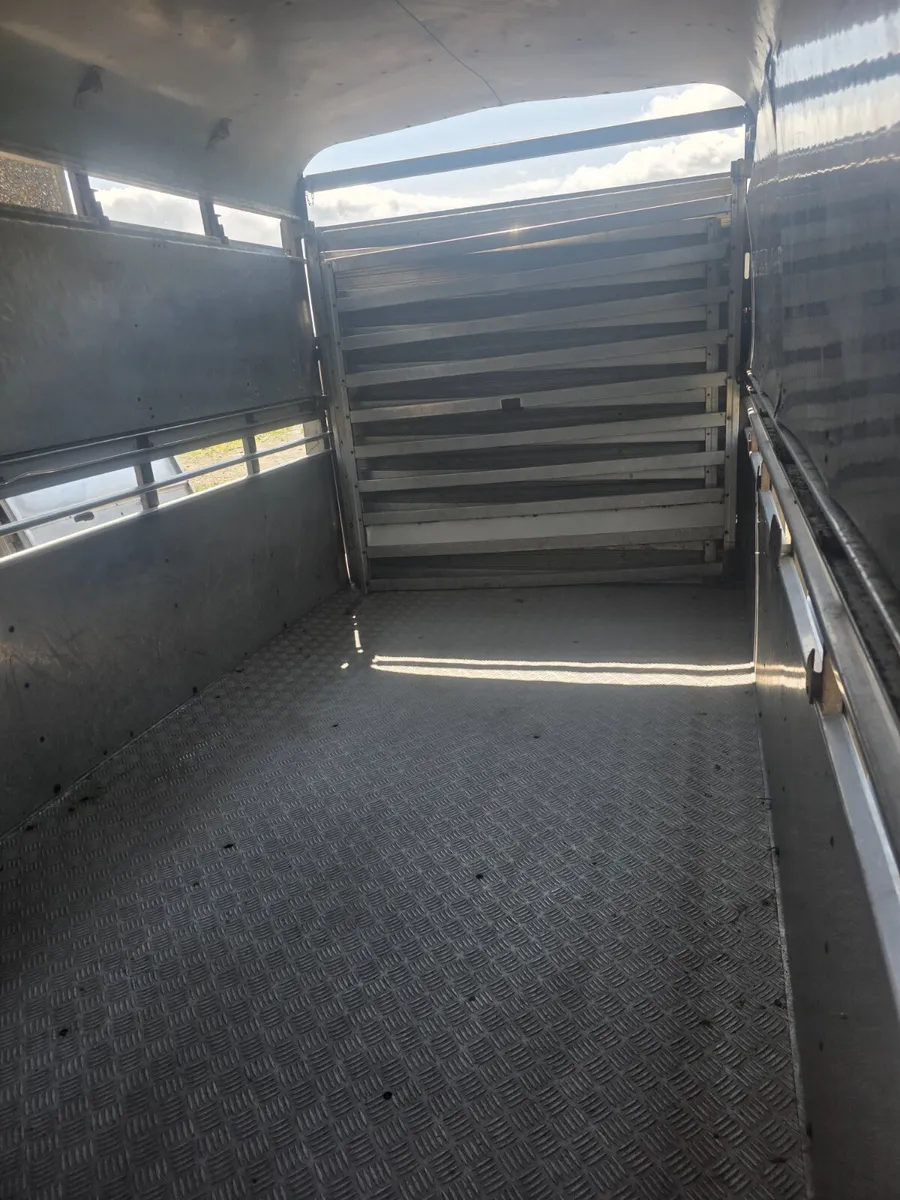 12ft ifor Williams livestock trailer - Image 3