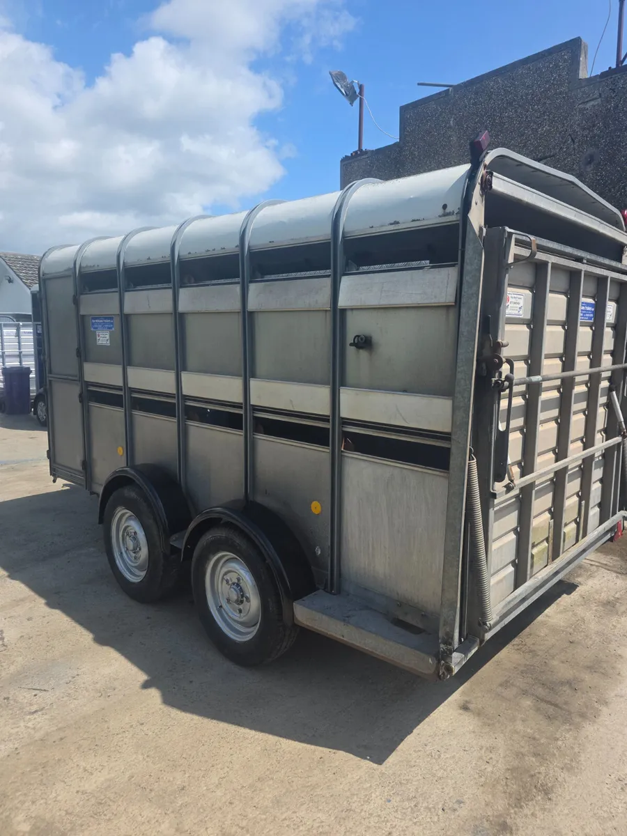 12ft ifor Williams livestock trailer - Image 4