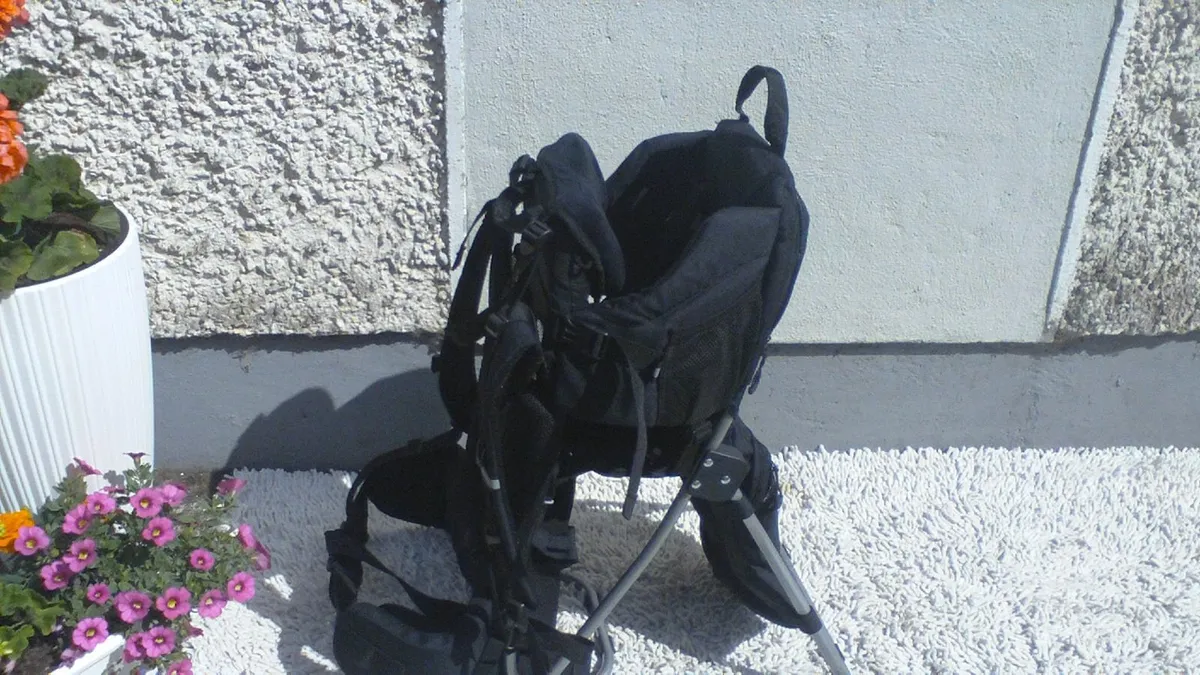 Baby Rigid Back Carrier - Image 1