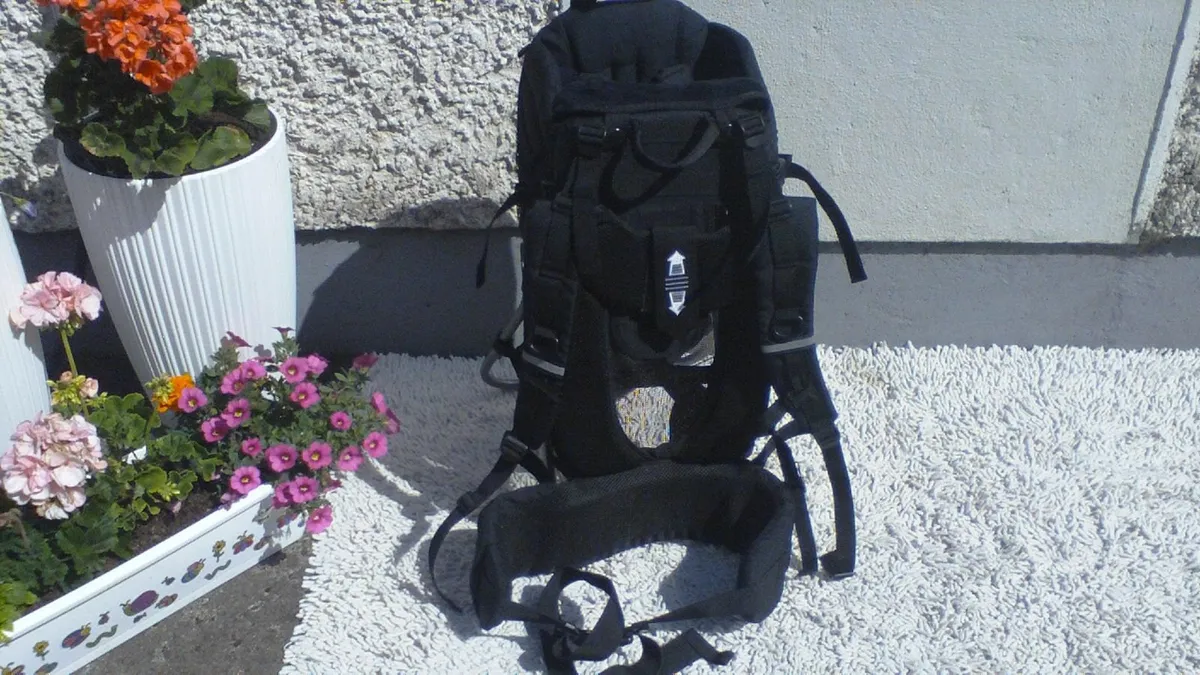 Baby Rigid Back Carrier - Image 2