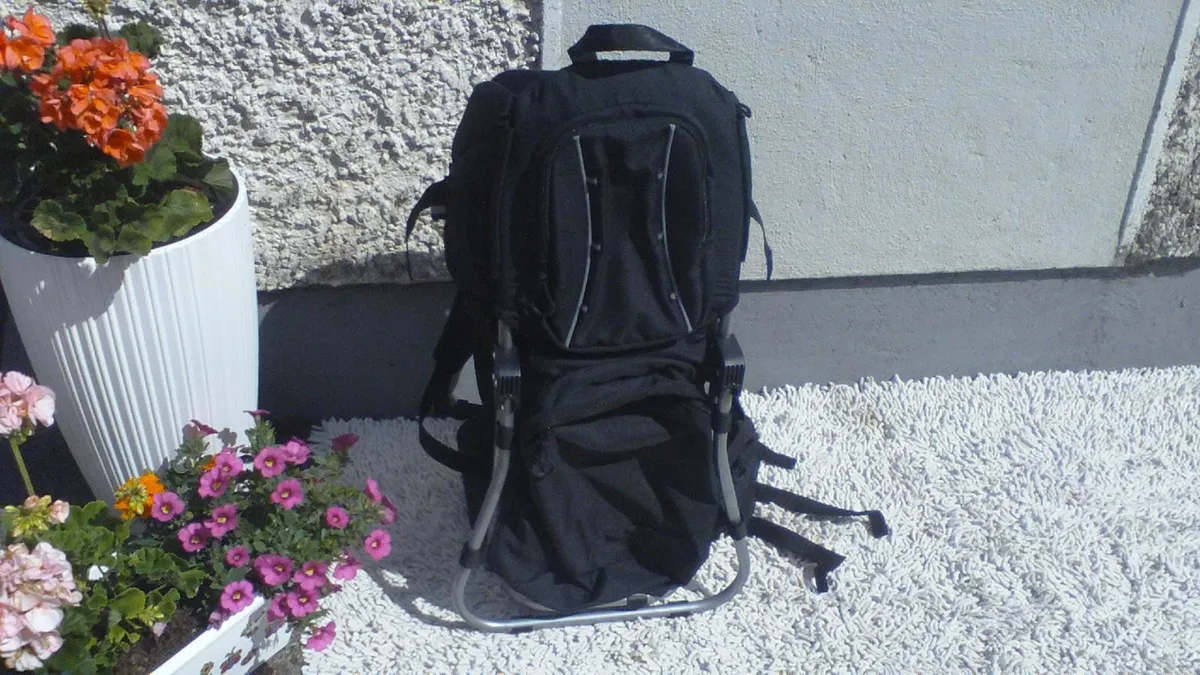 Baby Rigid Back Carrier - Image 4