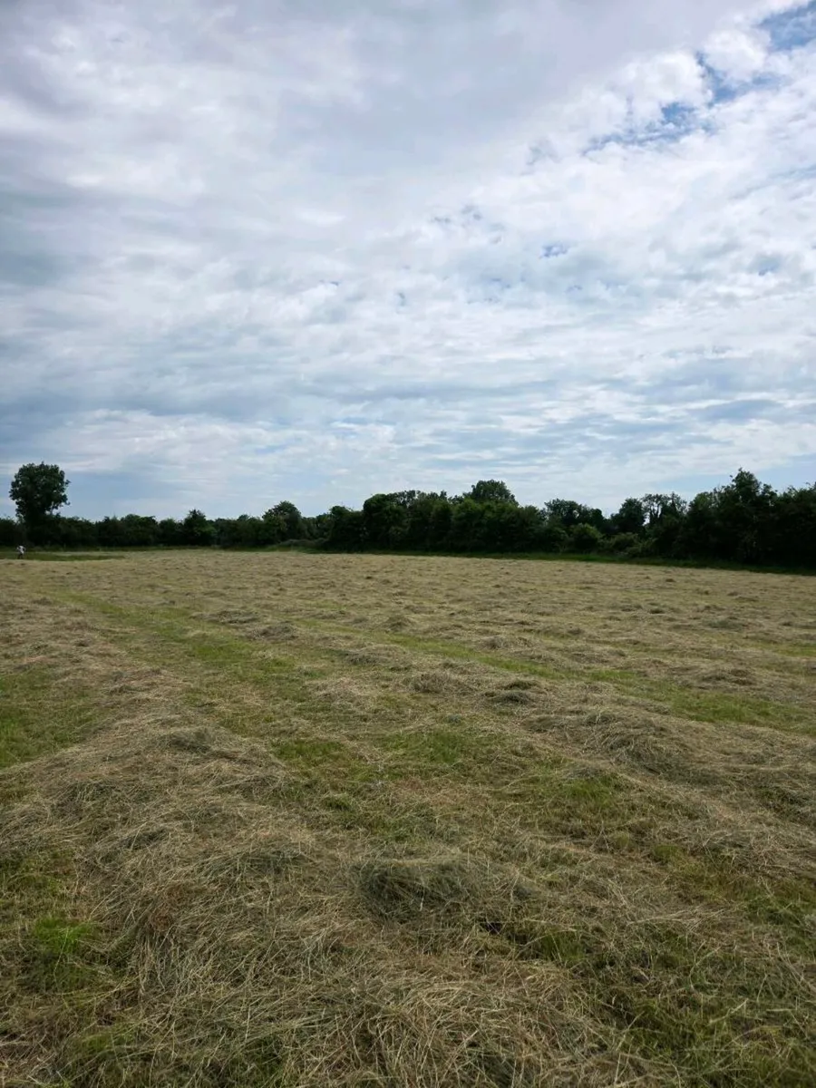Hay for sale - Image 1