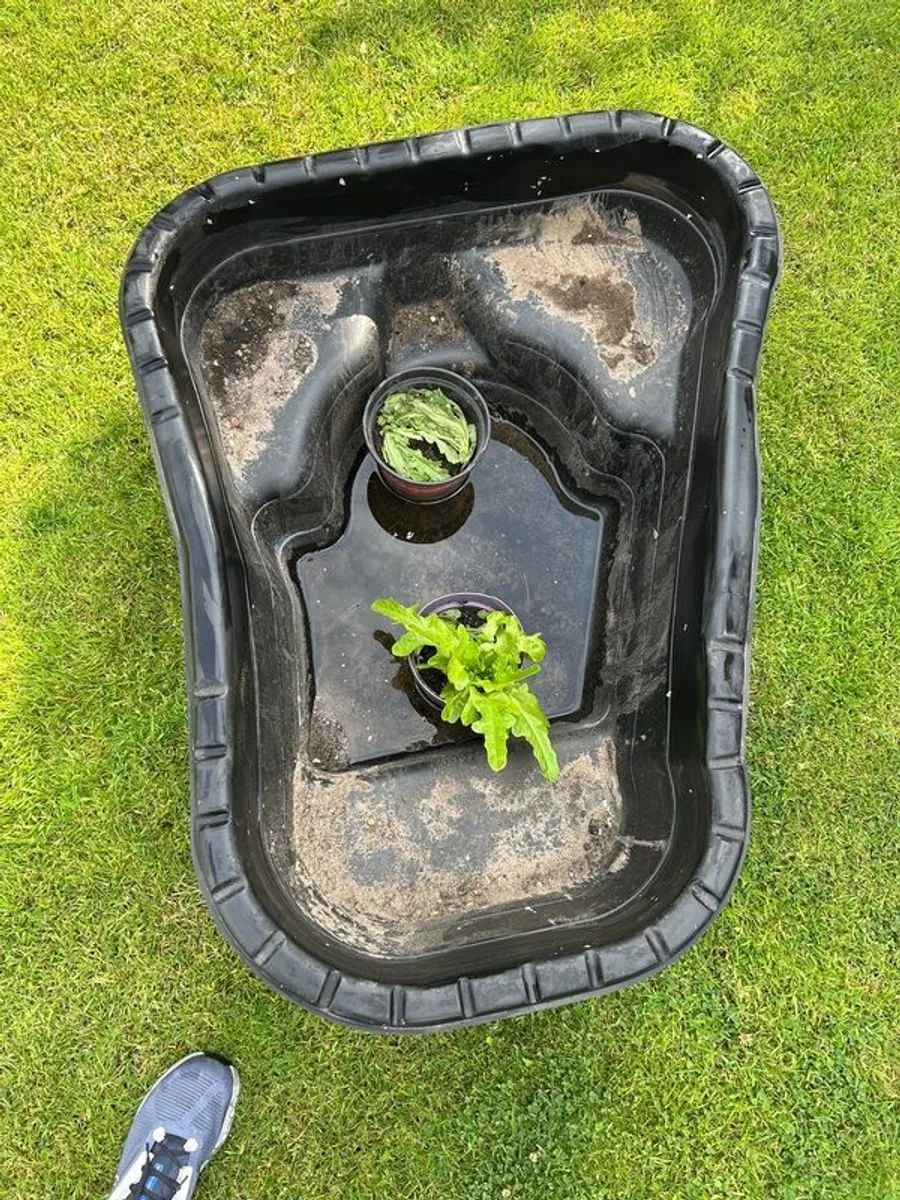 Pond - Image 1