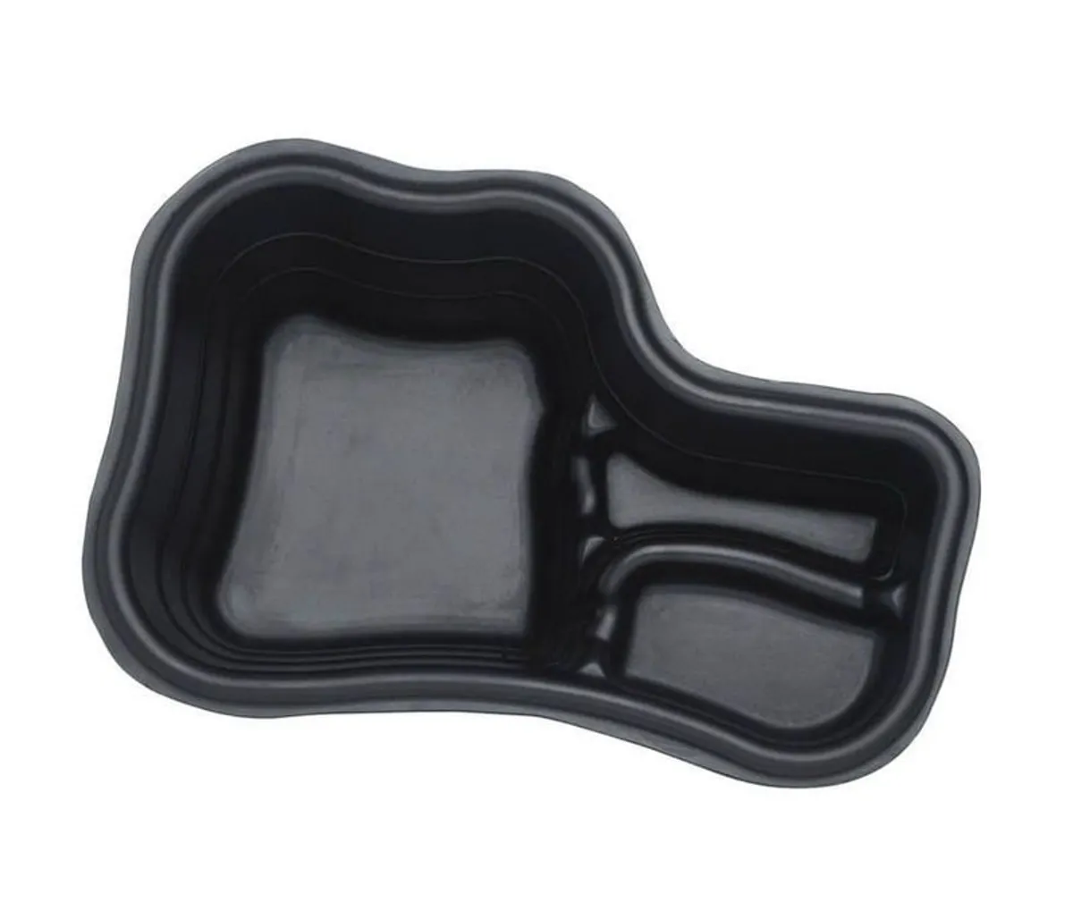 Pond - Image 4