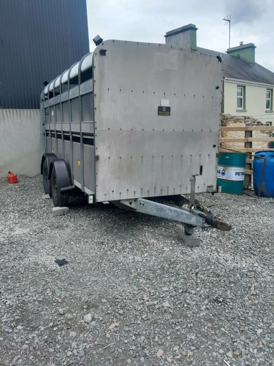 Ifor williams cattle trailer one careful owner3600 - Image 2