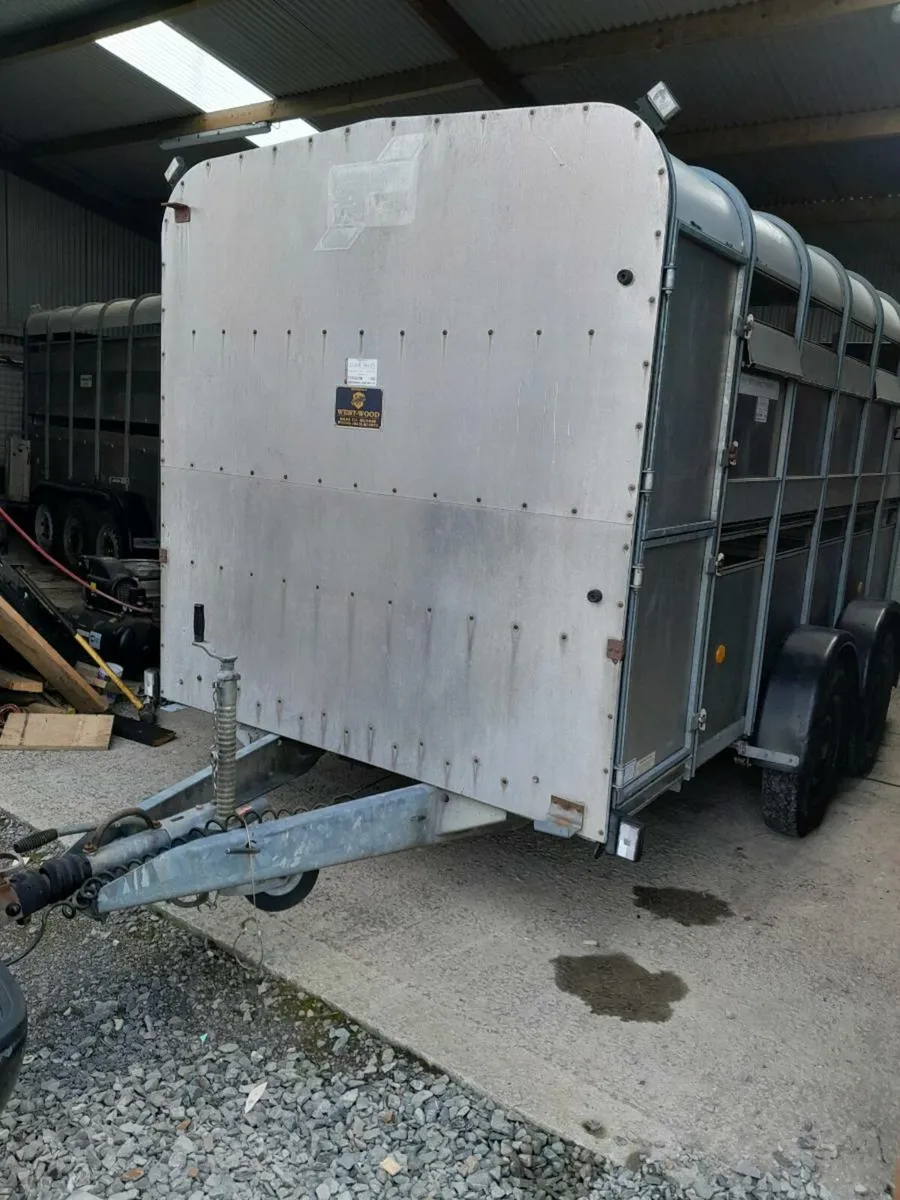 Ifor williams cattle trailer one careful owner3600 - Image 3