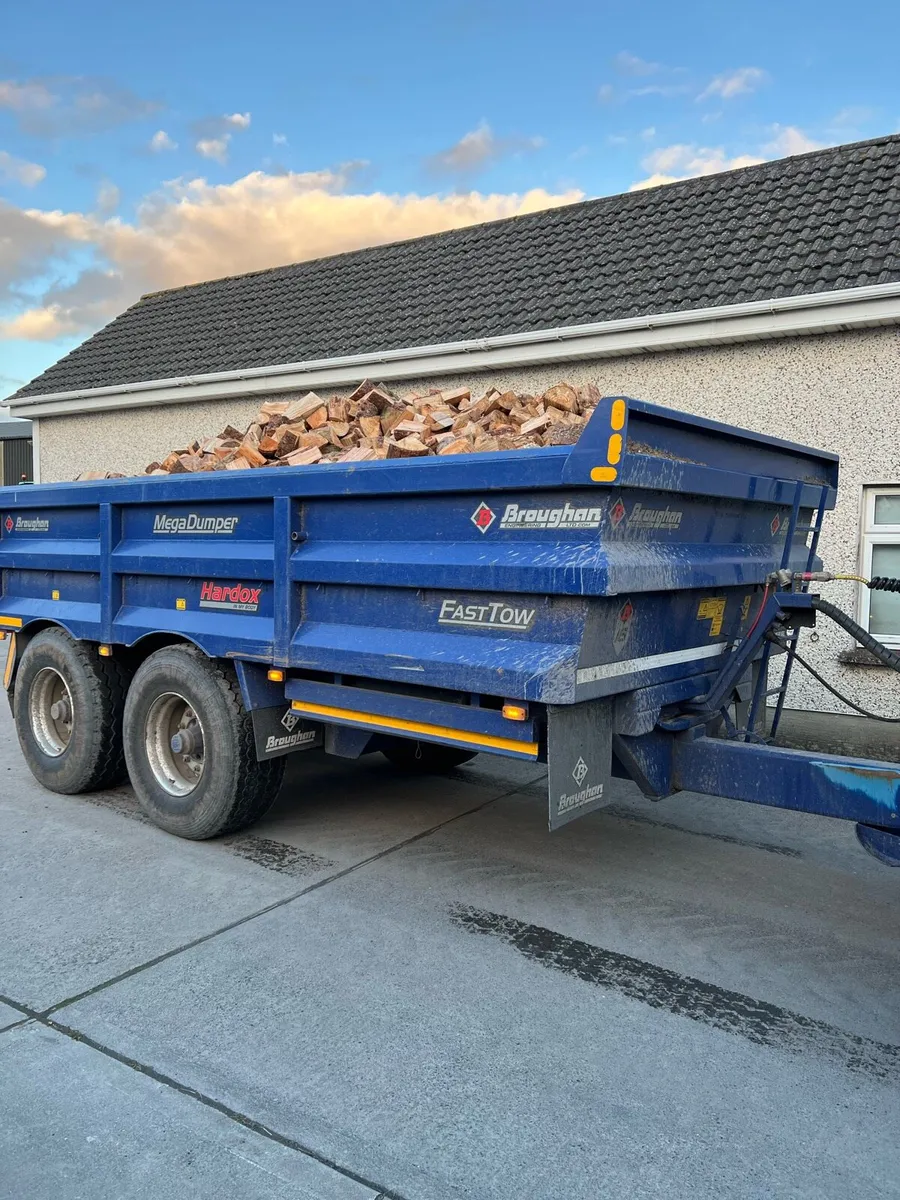 Hardwood logs - Image 4