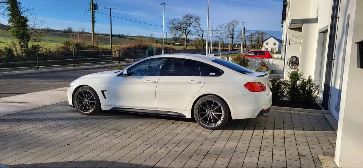 2015 420d M sport - Image 2