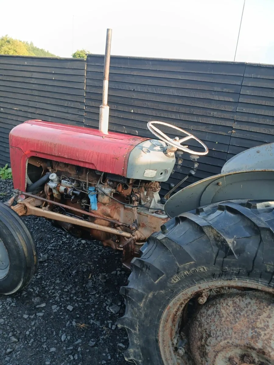 Massey Ferguson 35 Goldbelly - Image 2