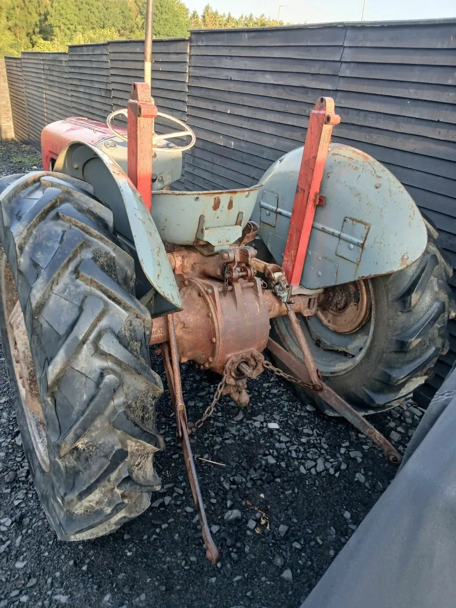 Massey Ferguson 35 Goldbelly - Image 3