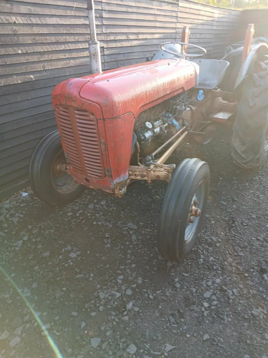 Massey Ferguson 35 Goldbelly - Image 1