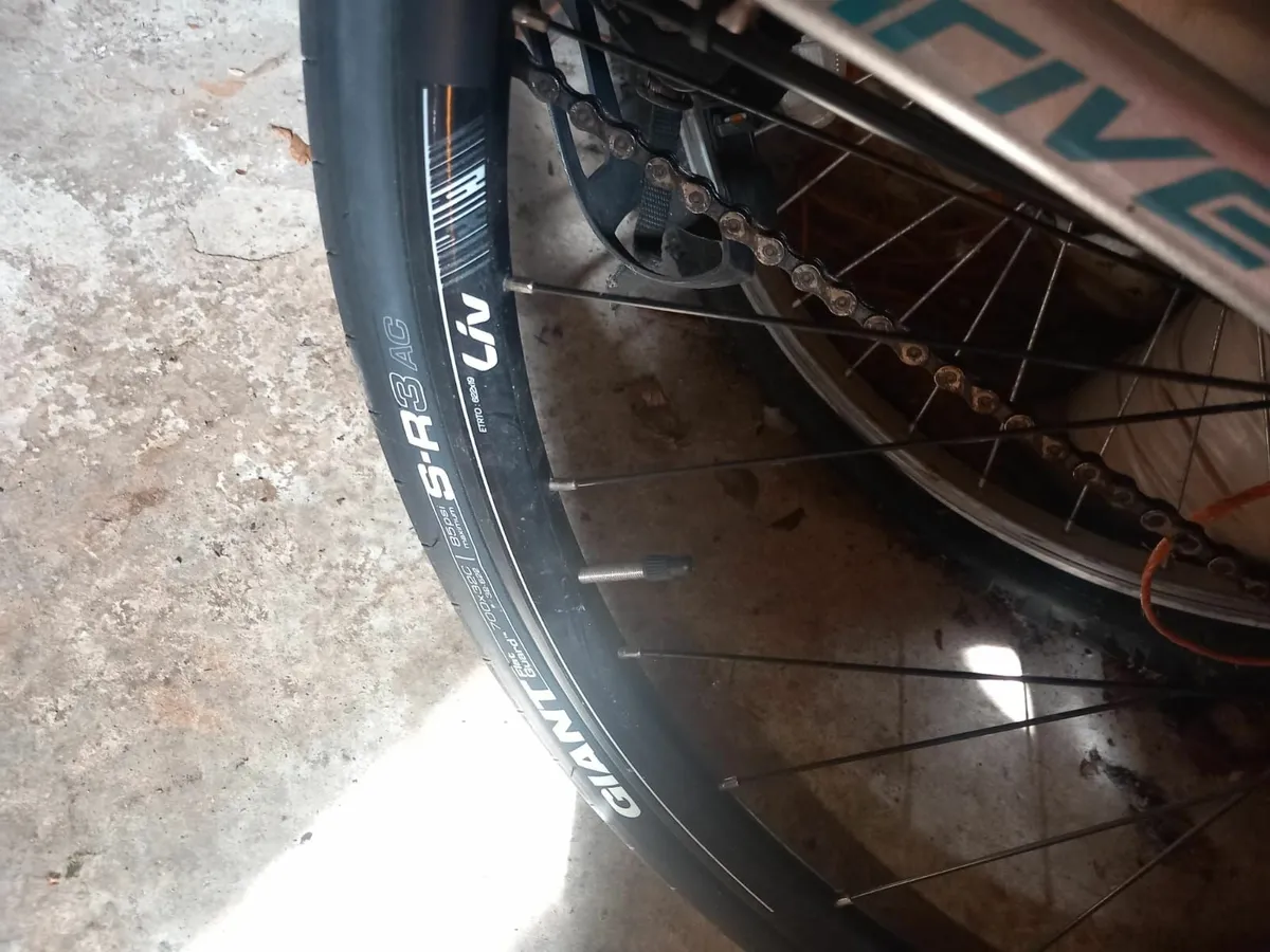 Bicycle - Image 2