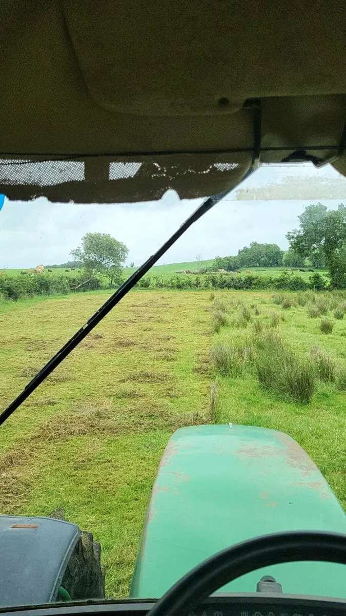 Grass cutting and tree removal - Image 1