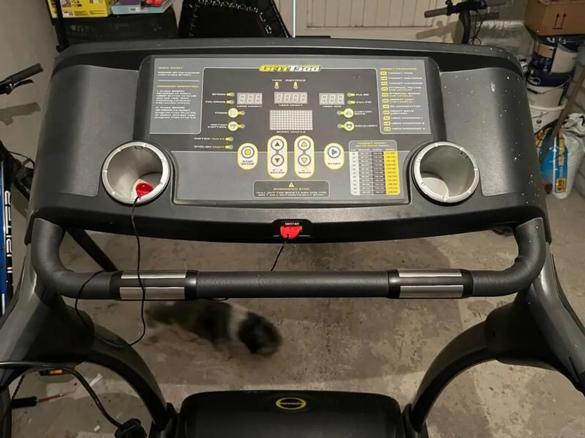 Treadmill - Image 1