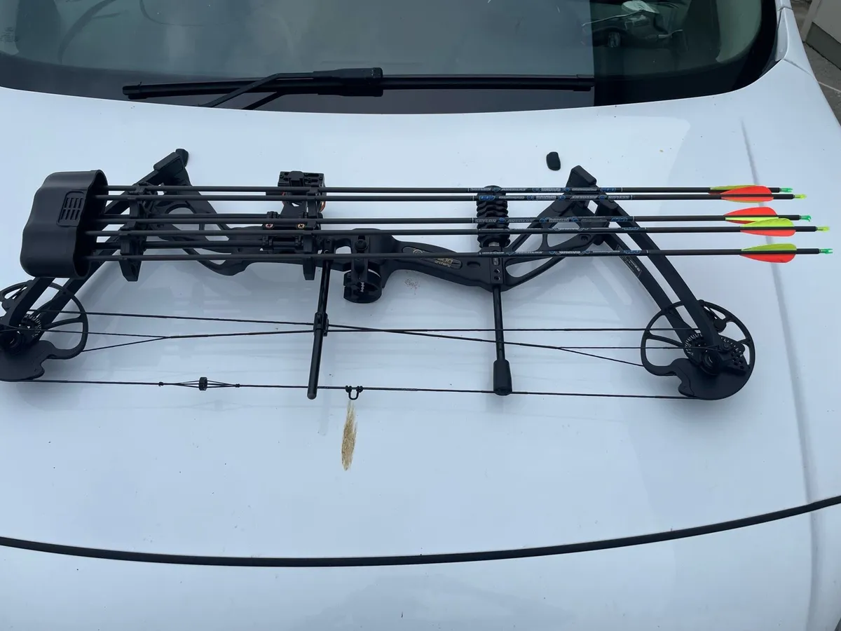 Compound bow - Image 3