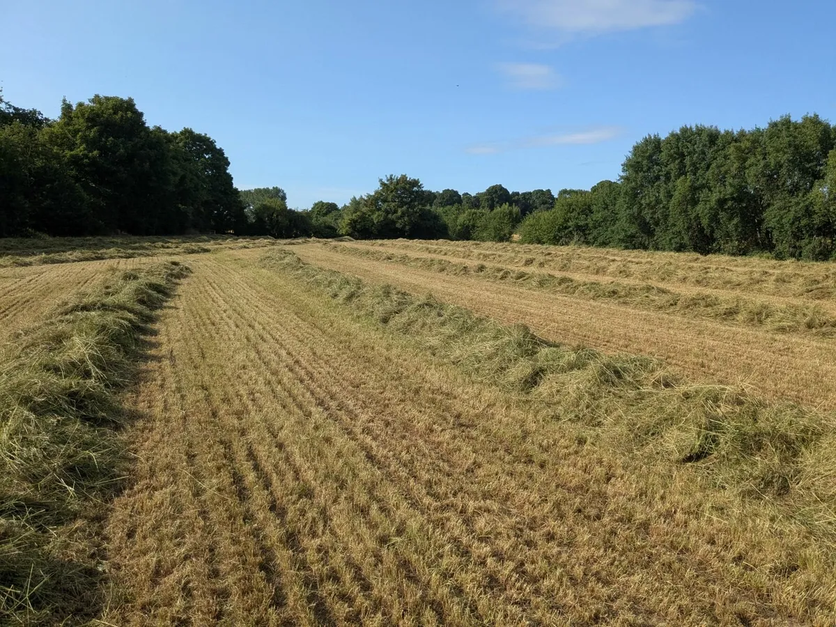 Silage