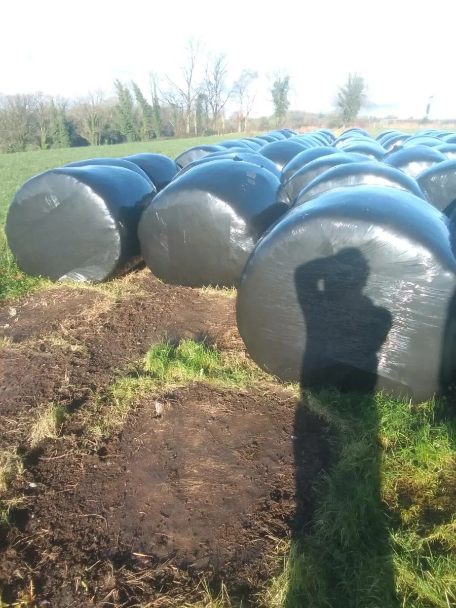 Bales - Image 1