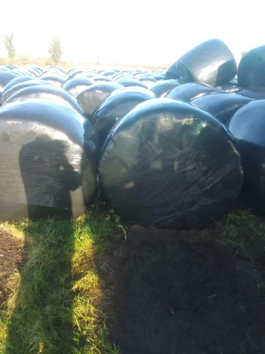 Bales - Image 3