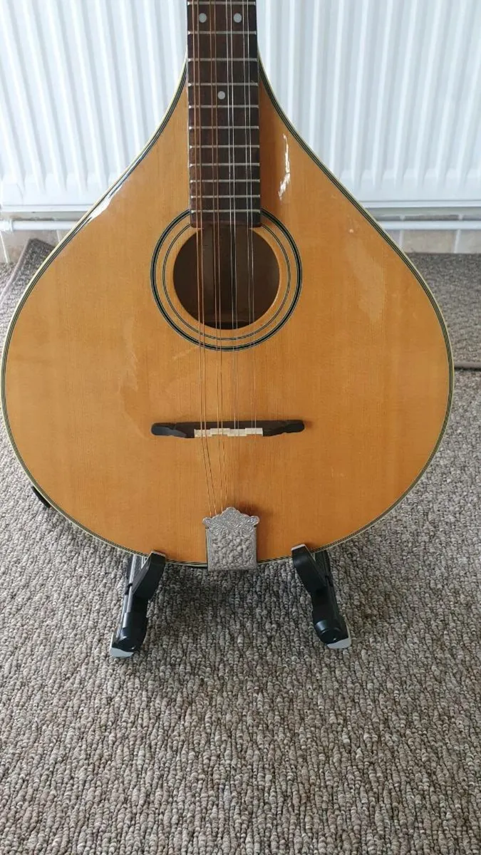 Octave Mandolin - Image 3