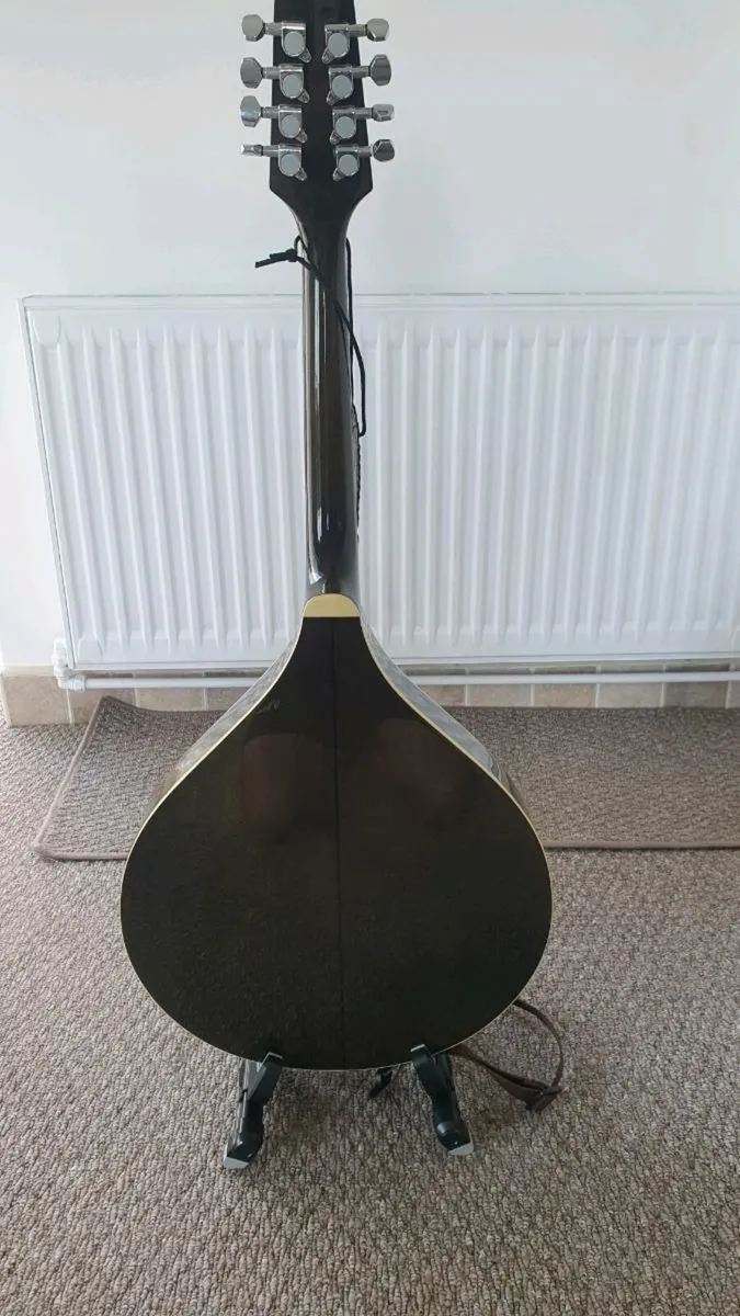 Octave Mandolin - Image 4