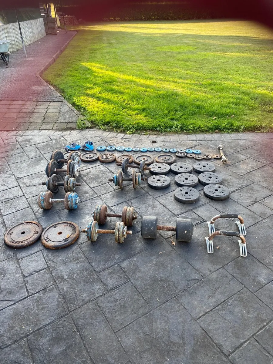 Gym Weights