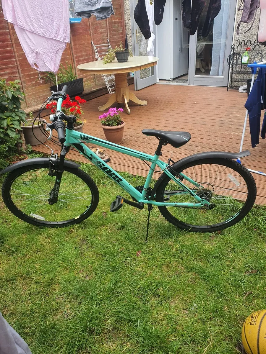 Bike - Image 1