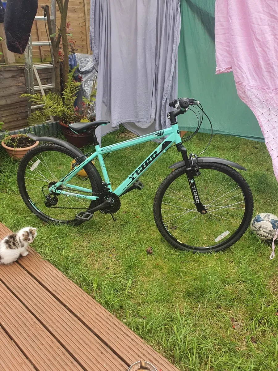 Bike - Image 2