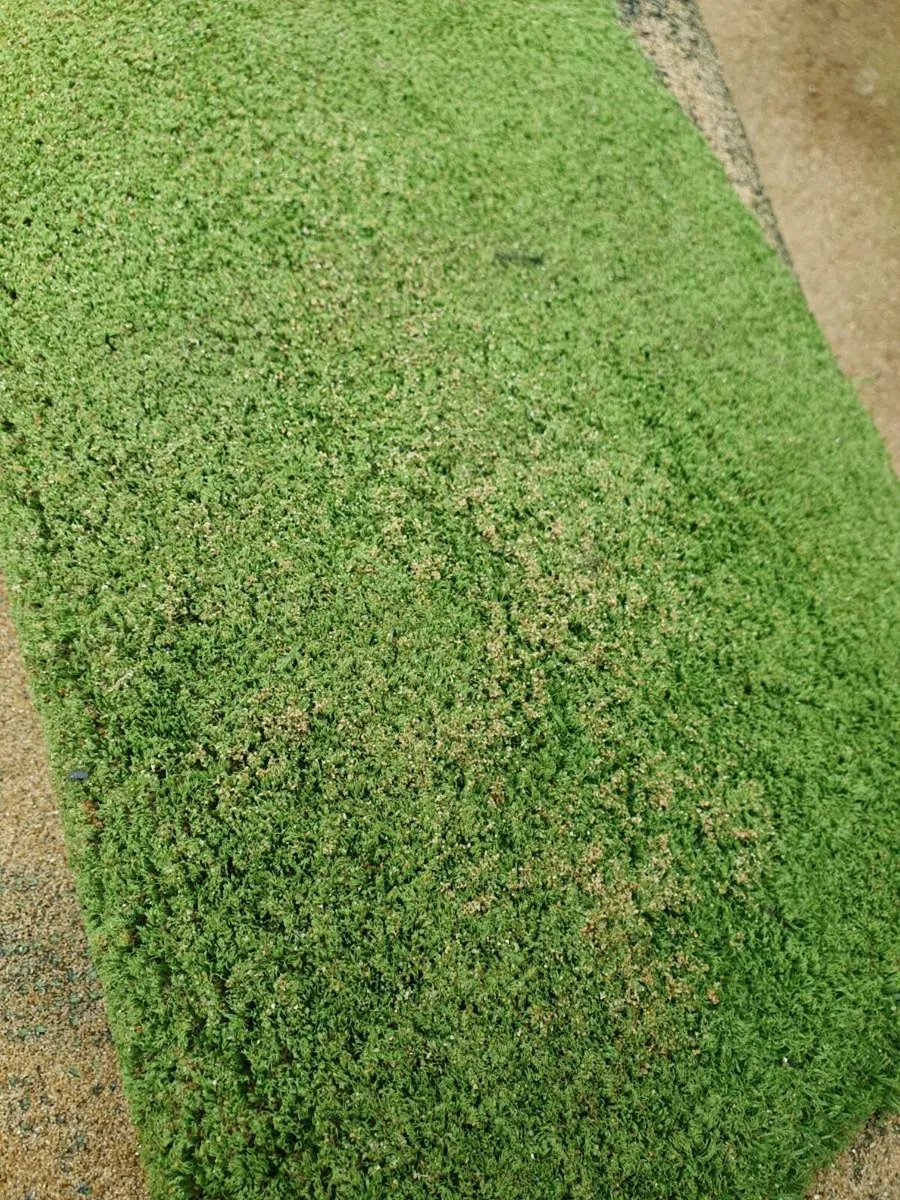 Artificial grass roll 5m x1.8m section Sand filled - Image 3